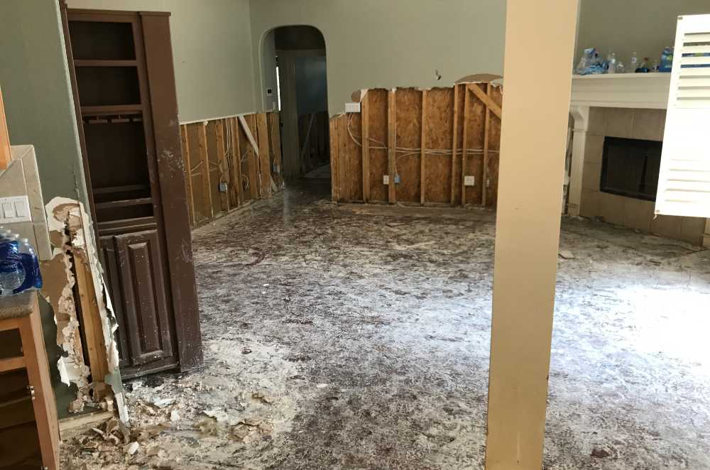 PRO Tech Mold Remediation