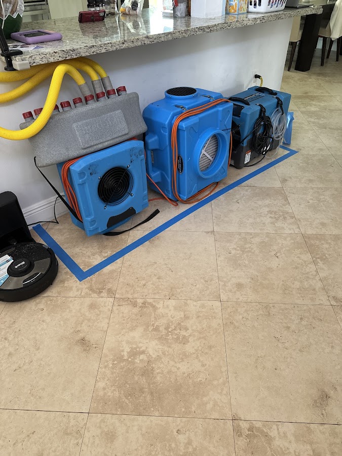 Blue Restoration Services