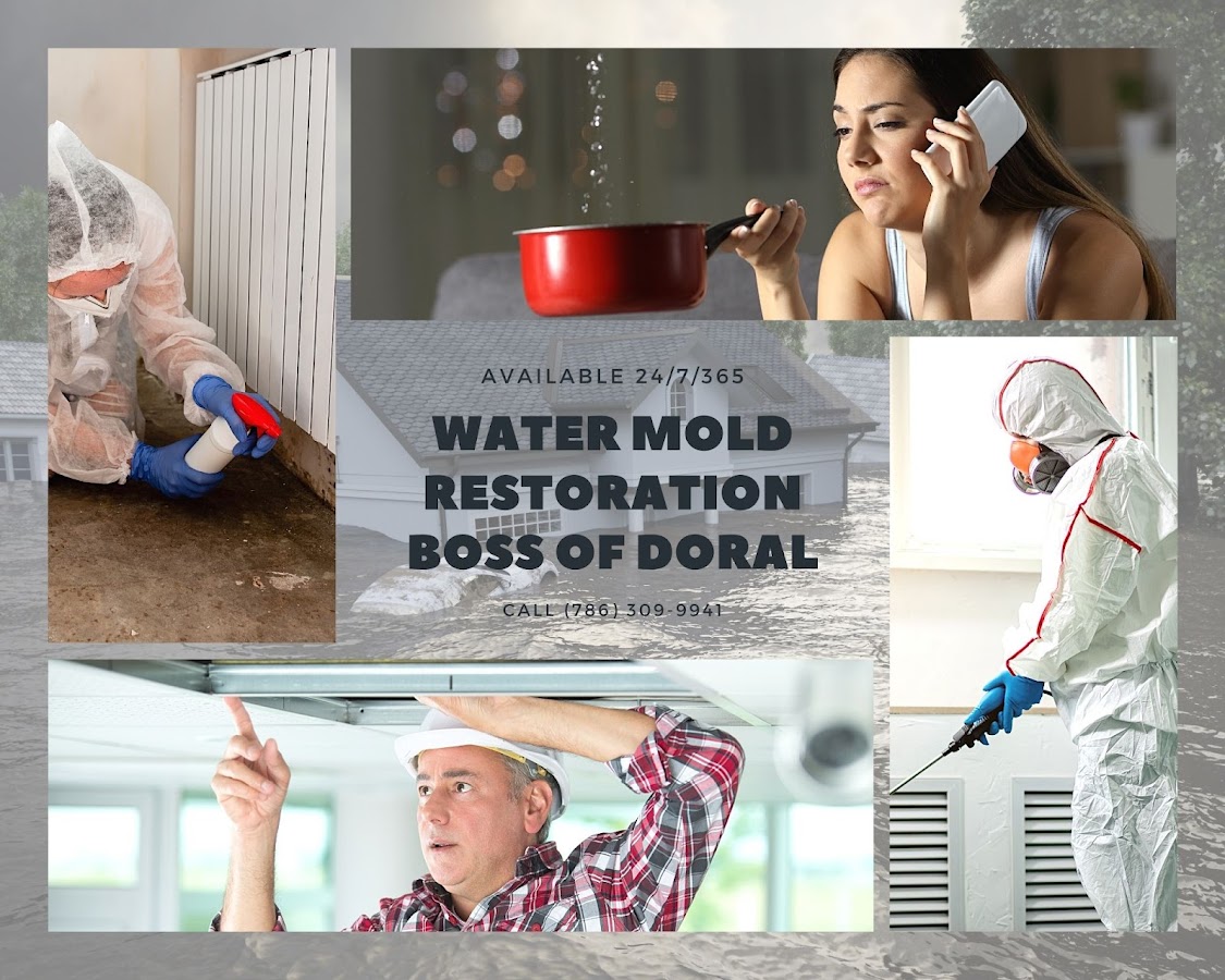 Water Mold Restoration Boss of Doral