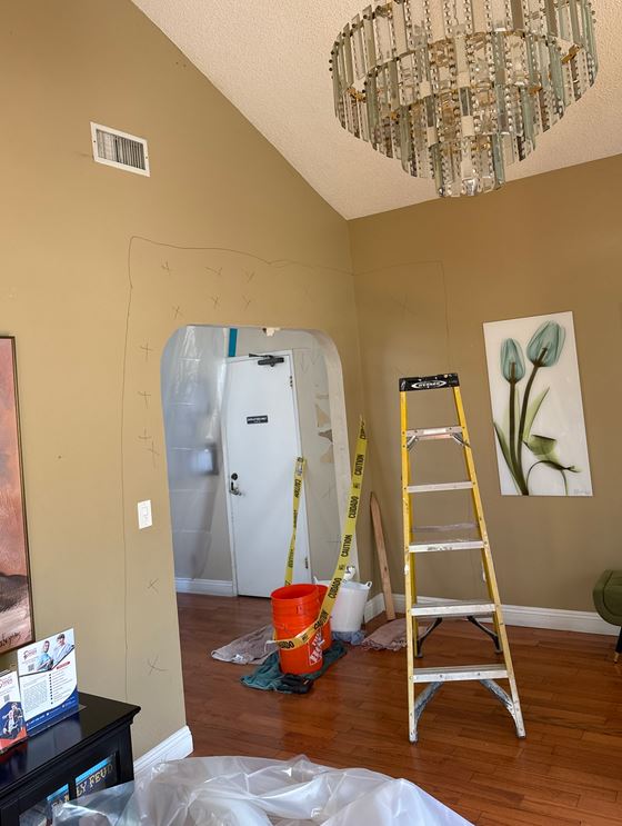 Mold Remediation Miami Elite