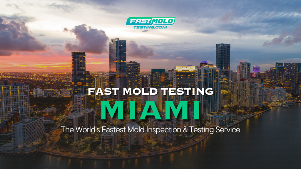 Fast Mold Testing - Miami