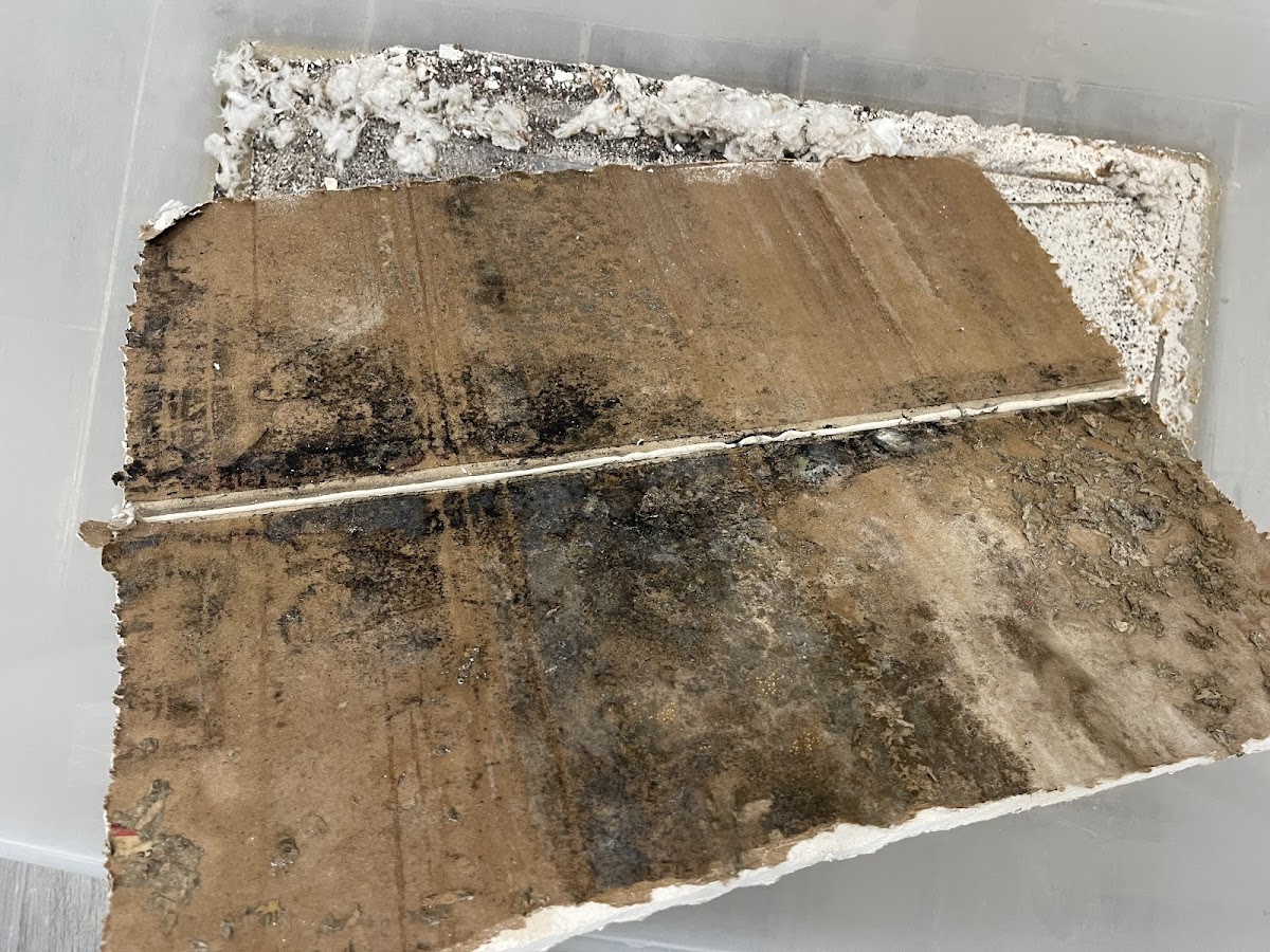 Mold Environmental Solution Inc