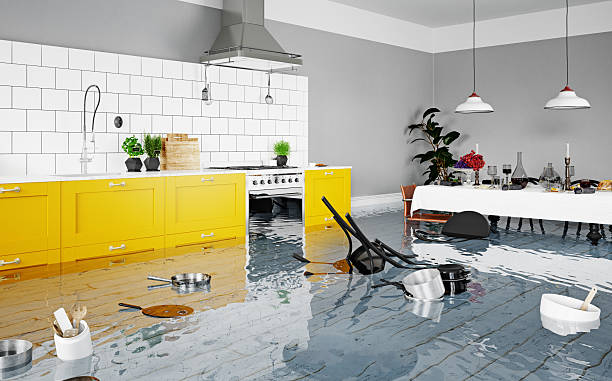 HydroSafe Water damage restoration Recovery