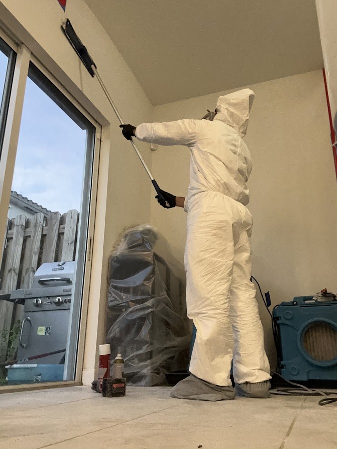 Mold Remediation Services of Florida
