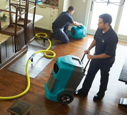 Mold Experts Now