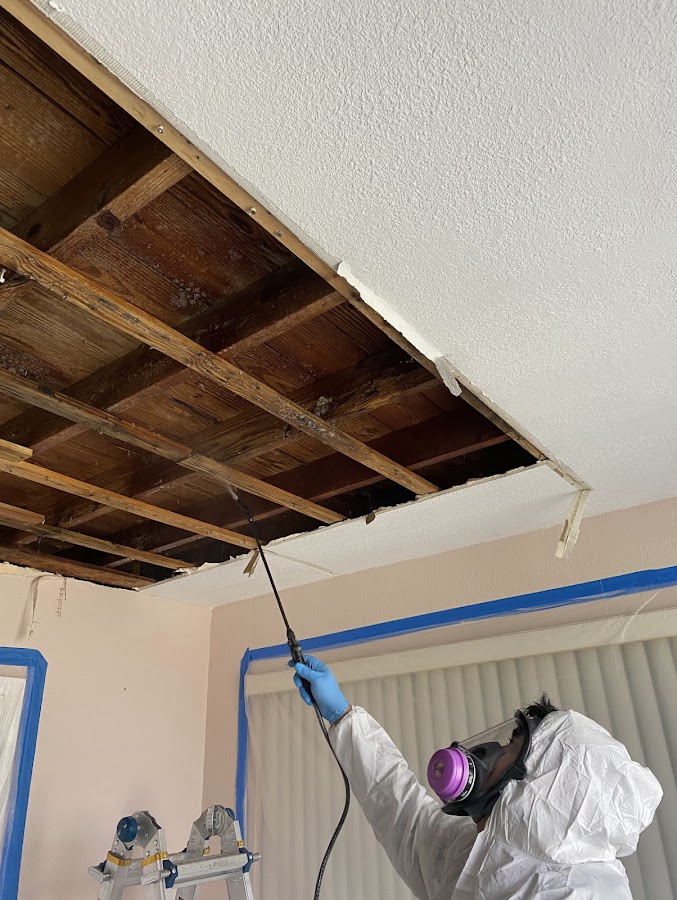 911 Mold Testing. Water and Mold Damage Remediation