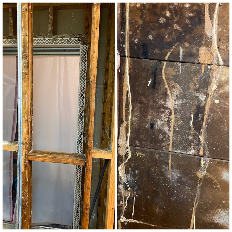 Mold Care Corp