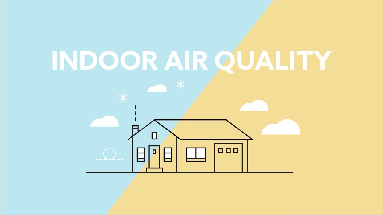 Miami Mold & Water Solutions LLC