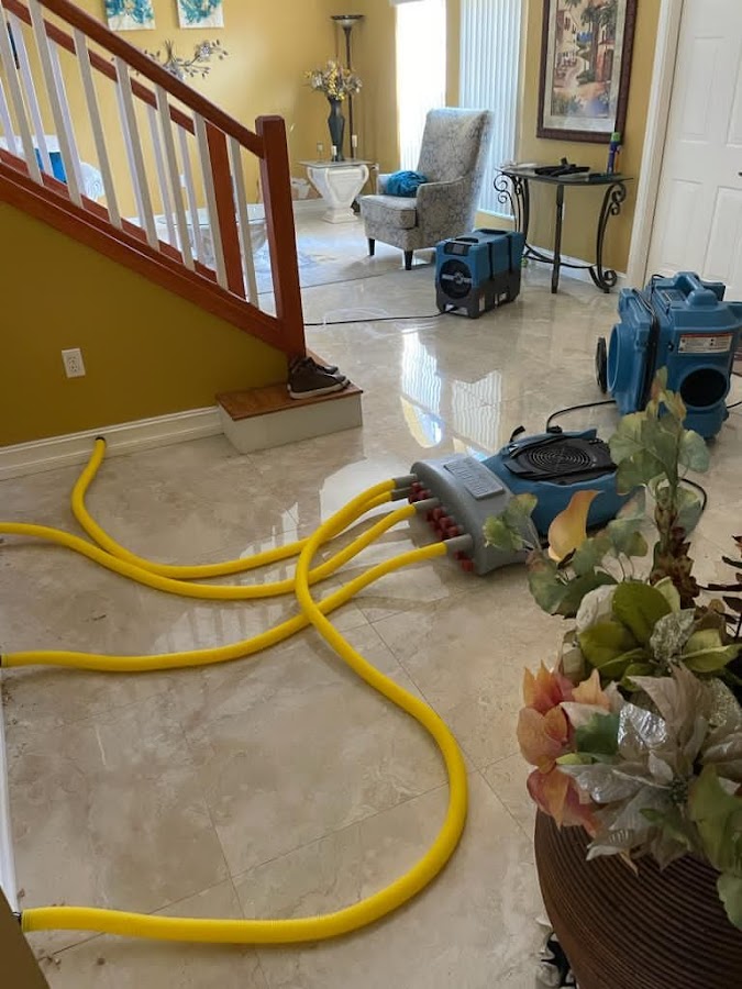 Ultra Hygiene Services (UHS Mold)