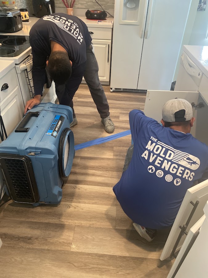 The Mold Avengers | Restoration Company Florida