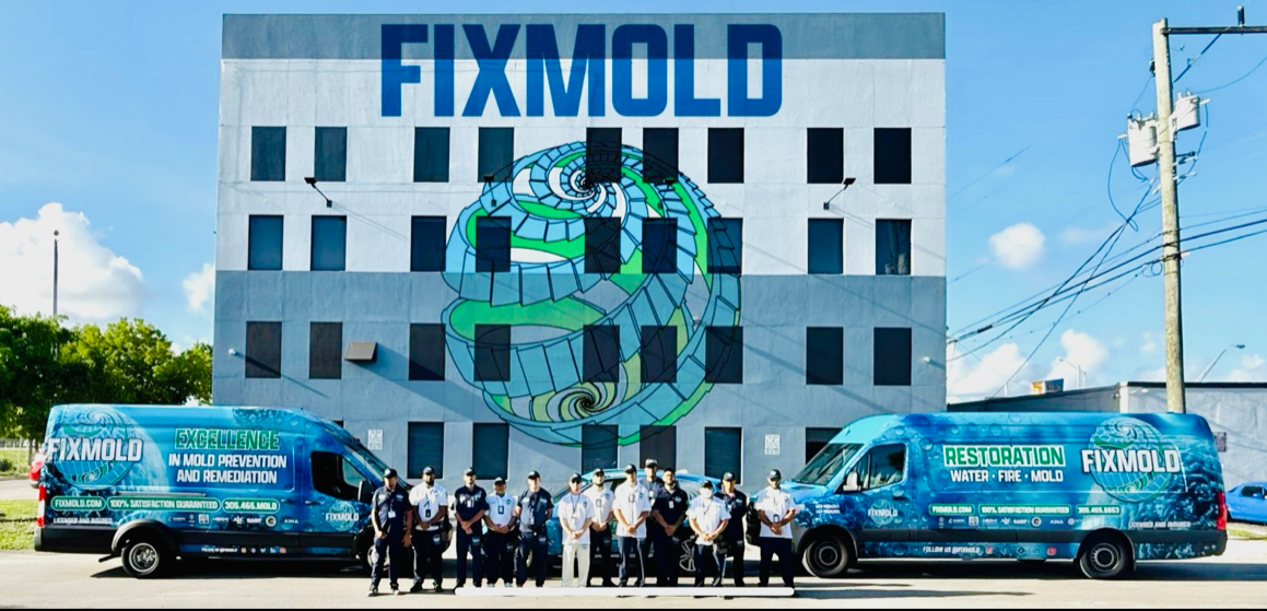 Fix Mold Miami