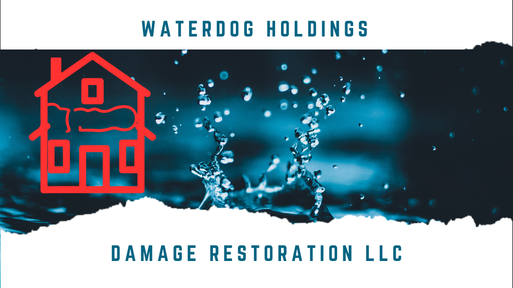 Waterdog Holdings Damage Restoration LLC